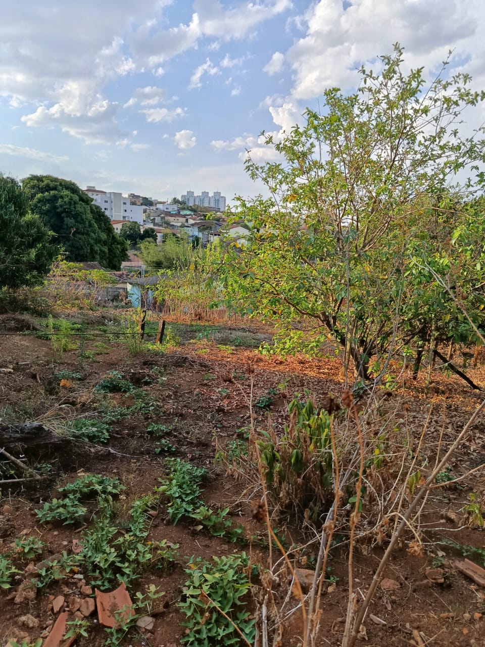 Residência Vila Silvéria - Imagem 11